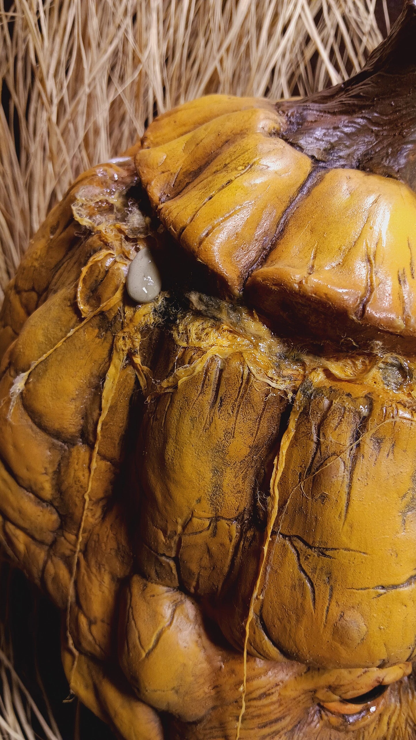 Gourdie 3/4 Latex Pumpkin Mask
